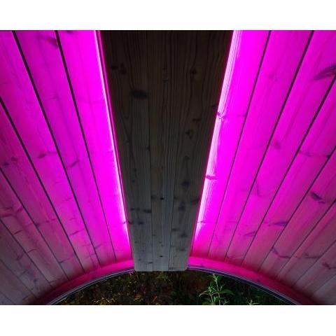 SaunaLife EMOOD Color Lighting for ERGO Sauna