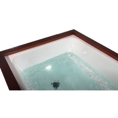 Luxury Spas Cold Plunge Platinum-Black